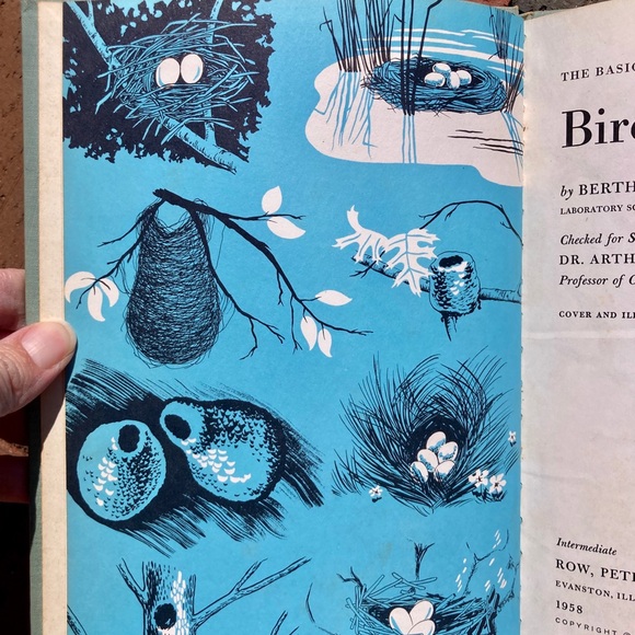 1958 Birds Cardinal Illustrated Picture Book Animal Bird Spring Toucan Animals - Picture 5 of 13